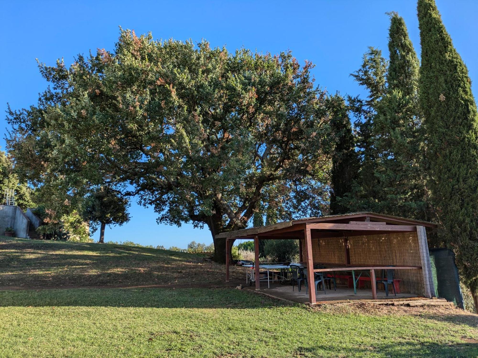 Agriturismo Il Giovannello Roccastrada Exterior foto